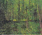 Trees and underwood, Vincent Van Gogh
